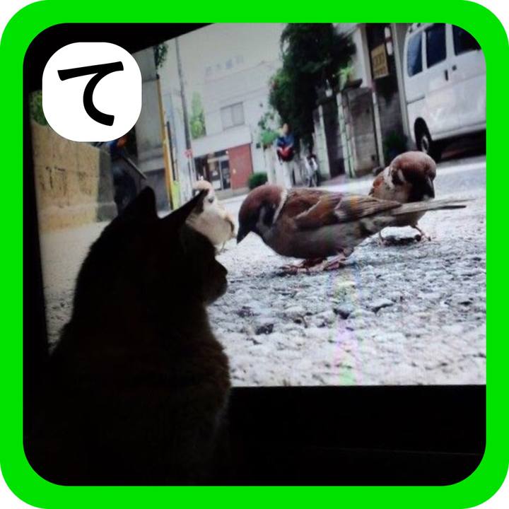 A4fce937 5a06 4846 b00d 59f9711c8d20 1514790210977