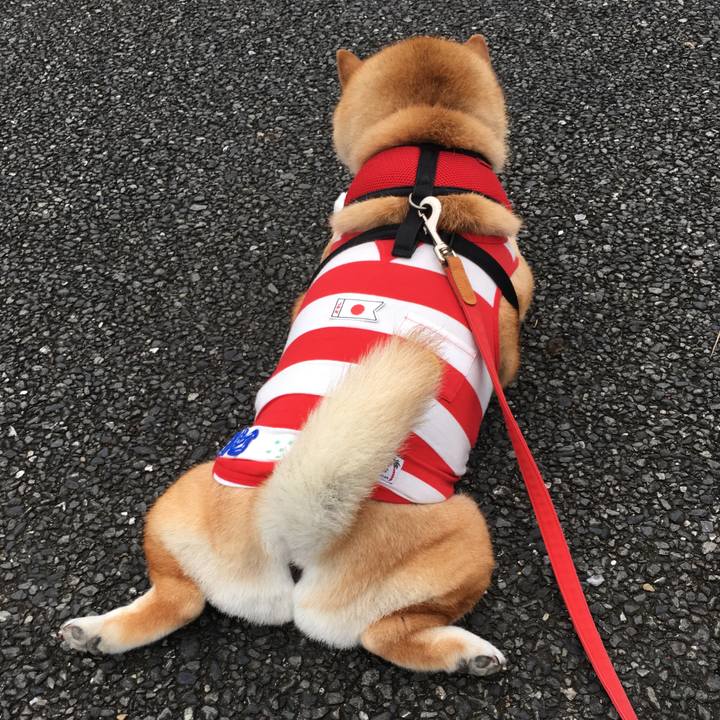 A4fcf975 6de2 4121 b422 f02120fab9cc 1594890130965