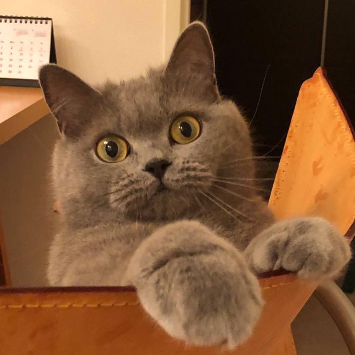 A4fd096d 4119 43a7 b859 bcd83a319c2d 1527679856548