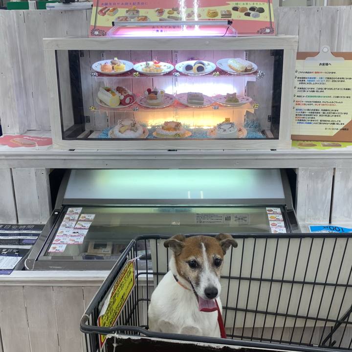 A4fd10d5 df9d 49c2 a58f 4737a8fa9a15 1561810155072