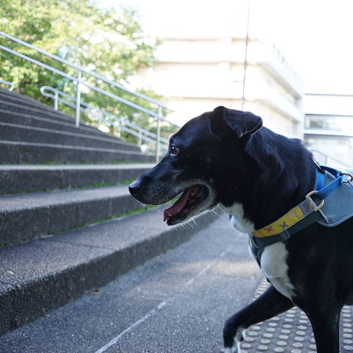 A4fd15fb 4739 4968 acb4 d4d70ead9192 1758502362494