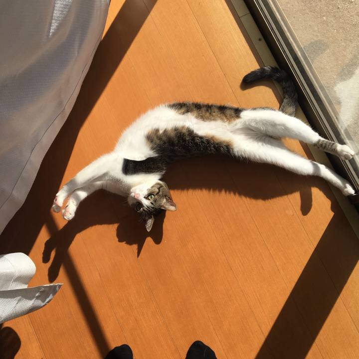 A4fd4910 4ab5 4ff2 9d11 57394969337e 1524364663774