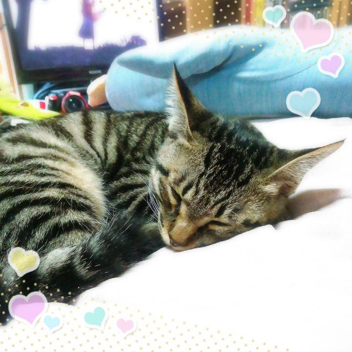 A4fd5dfa 5654 4263 b2fa 5aa4d8dd4cee 1541831258991