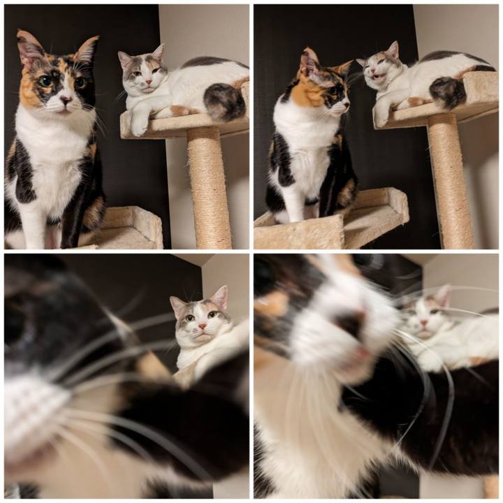 A4fd90e0 61b7 4918 b9d1 242c2c0d0557 1703058947833