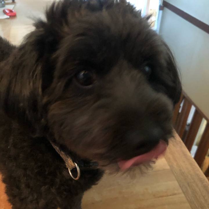 A4fd9c32 0a46 490a 84da da9d296a2f7e 1534463277829