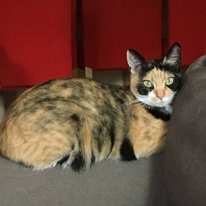 A4fdd337 4064 4041 ae5d 1e5366a6454e 1510459940107