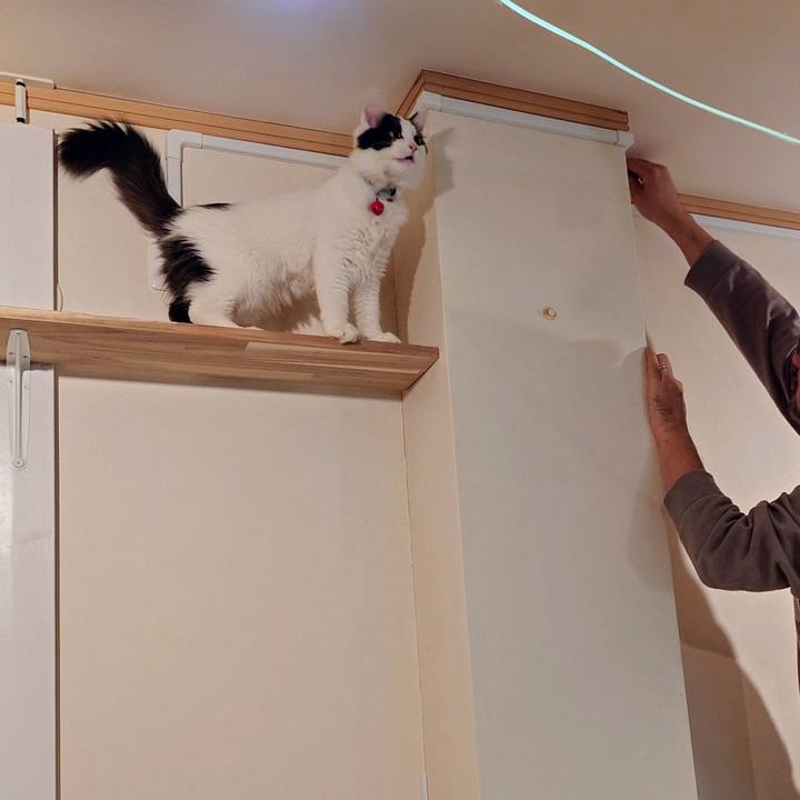 A4fdebec f369 470b a43d 8f703e1d1b65 1765708934397