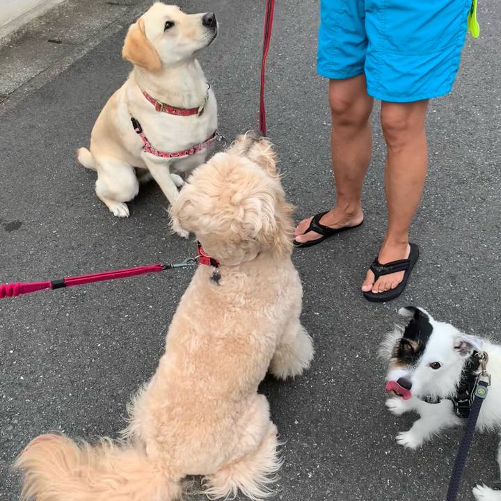 A4fe1e15 a492 47f7 97d7 7cde07345b67 1719963651584