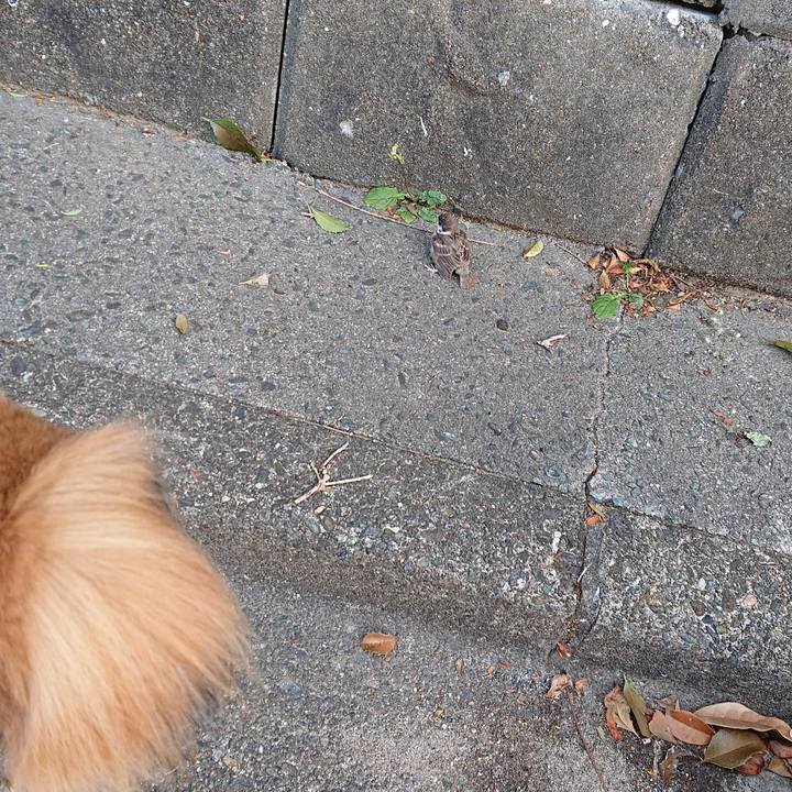 A4fea936 e962 4995 99cd 782f74522a45 1558477105554