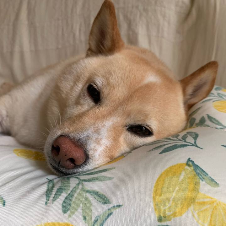 A4febd8c 9ef5 4620 984d 81757a177845 1628472134234