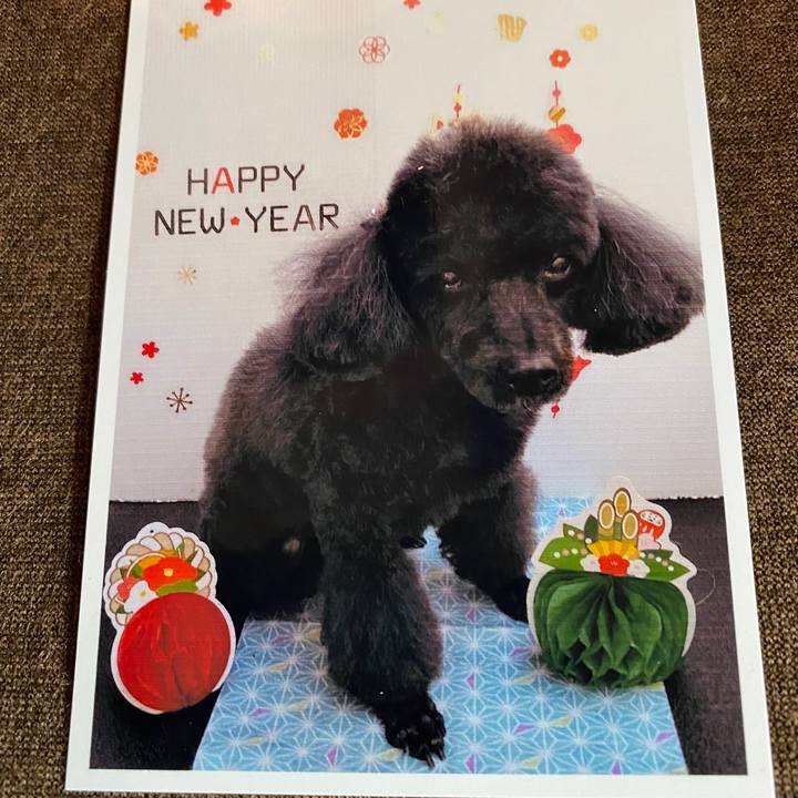 A4ff058a 478a 4304 915a ef470be1c701 1578287559075