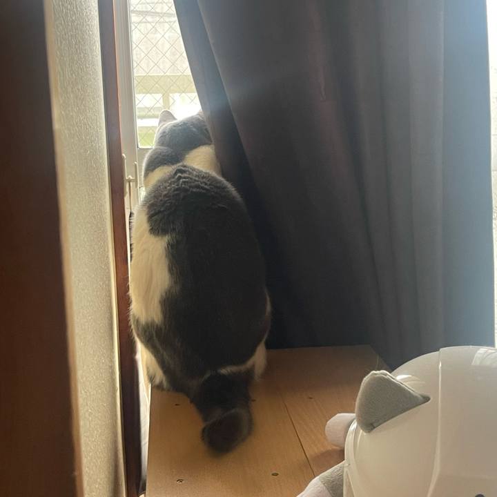 A4ff1de4 e79b 47da bfd1 66782ca447e3 1677986052275