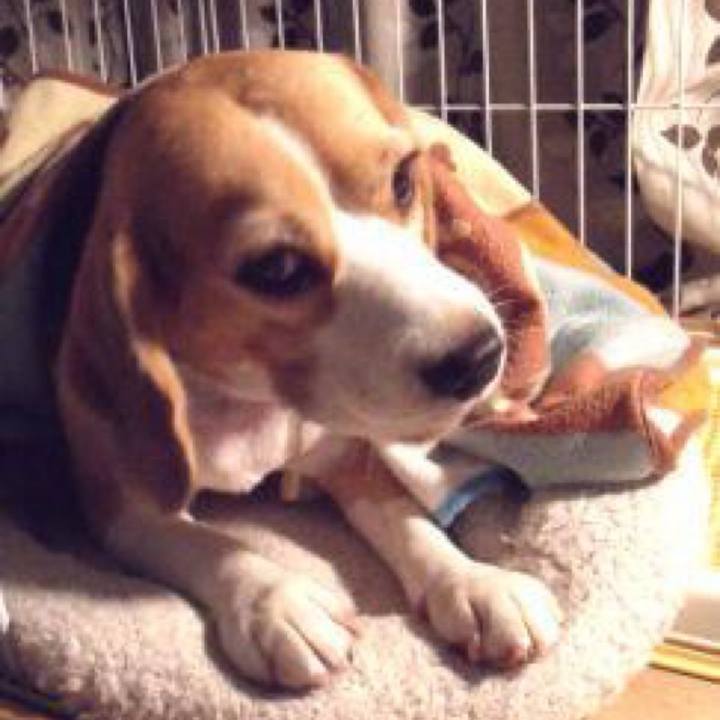 A4ff25a4 53bb 47d9 ac30 33288463246d 1729377737584