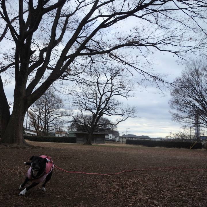 A4ff5ffc 5fb9 4bef 8b9e 66a59b5789c7 1703385647791