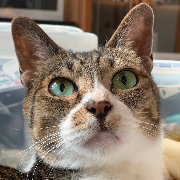 A4ff6177 963f 4337 85c5 be20c3efa144 1561680843711