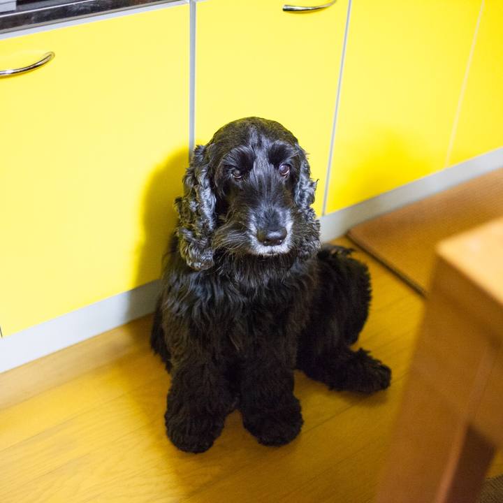 A4ff799c 6348 4eb1 b6ed 82fba8c34c0e 1552489977453