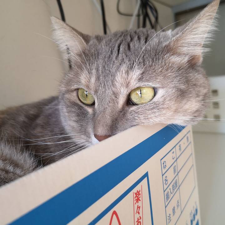 A4ff942f 42db 48a3 969f aa0e845d2572 1596701815868