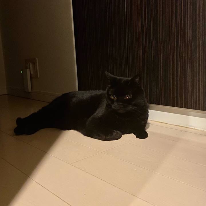 A4ffad09 4956 4a6d 9a7d 331e10eee8ba 1749725887529