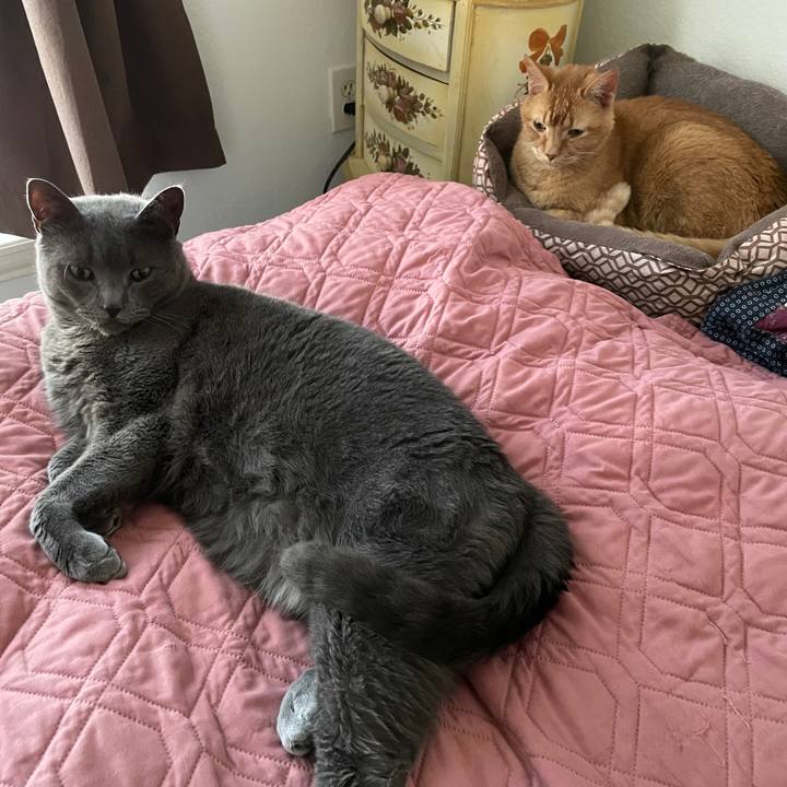 A4ffdac3 5110 4fd5 913f bfefb7e644da 1694983754980