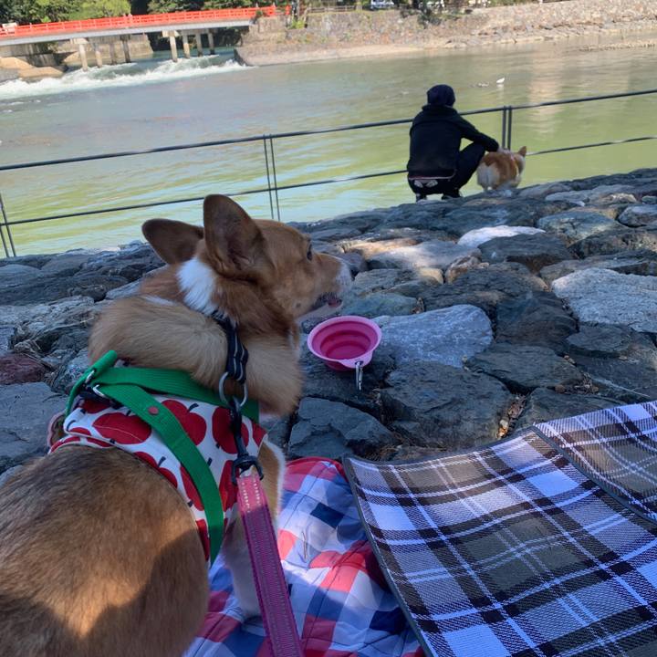 A5001a36 2ac1 48f2 9a5f 827cd24c8cec 1571390323402