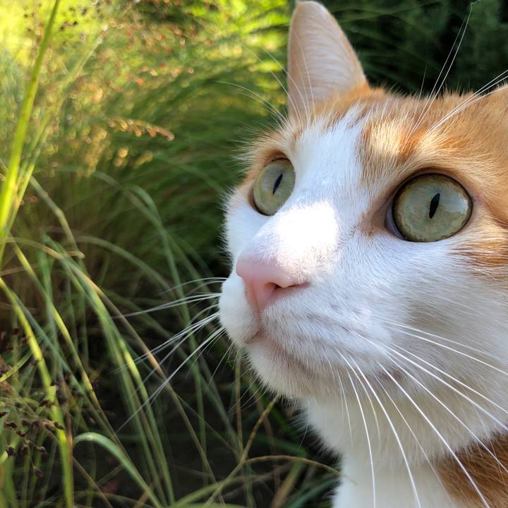 A50043ce 3366 4395 997c 470de1dc496e 1540090411106