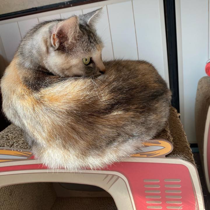 A5005644 774f 4ff4 8a34 06bd8123f670 1637199332489