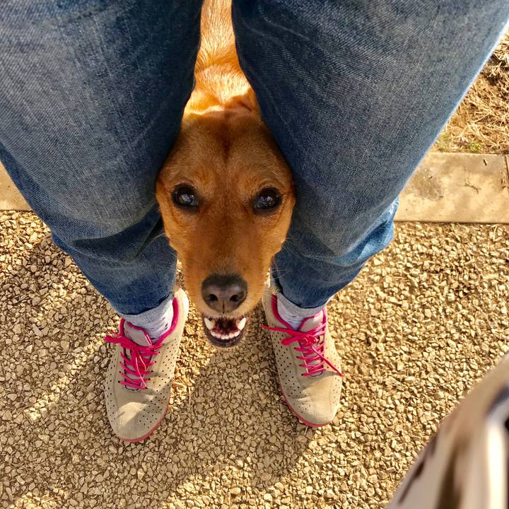 A500955f 6174 42e5 8635 3f49e0942bce 1573808180944