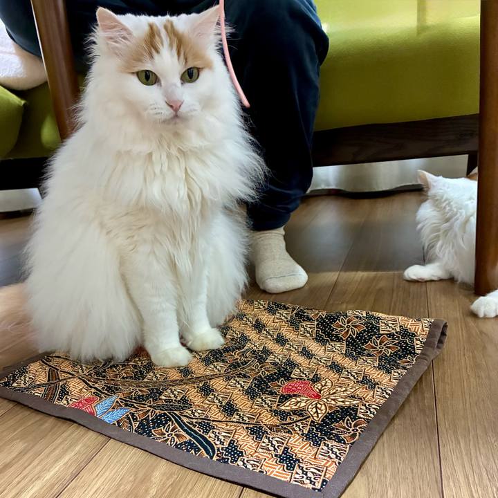 A50095a3 de81 4769 998d 5c2c71078359 1770646849060