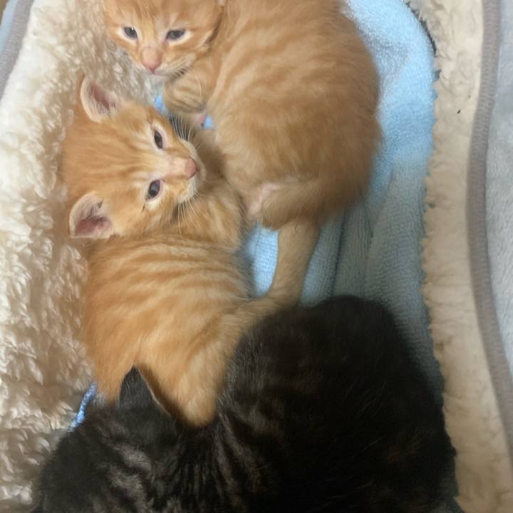 A500a9cd d2af 40f1 8cb4 030891e2692d 1570026368358