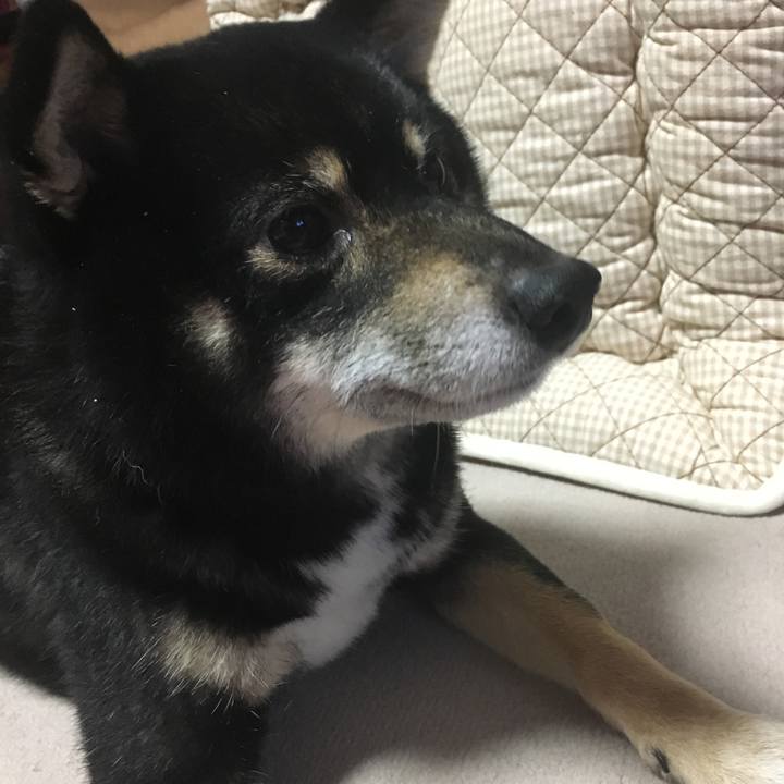 A500c0a5 c7e3 4a54 9e99 d38b5d9dfdb1 1517391855127