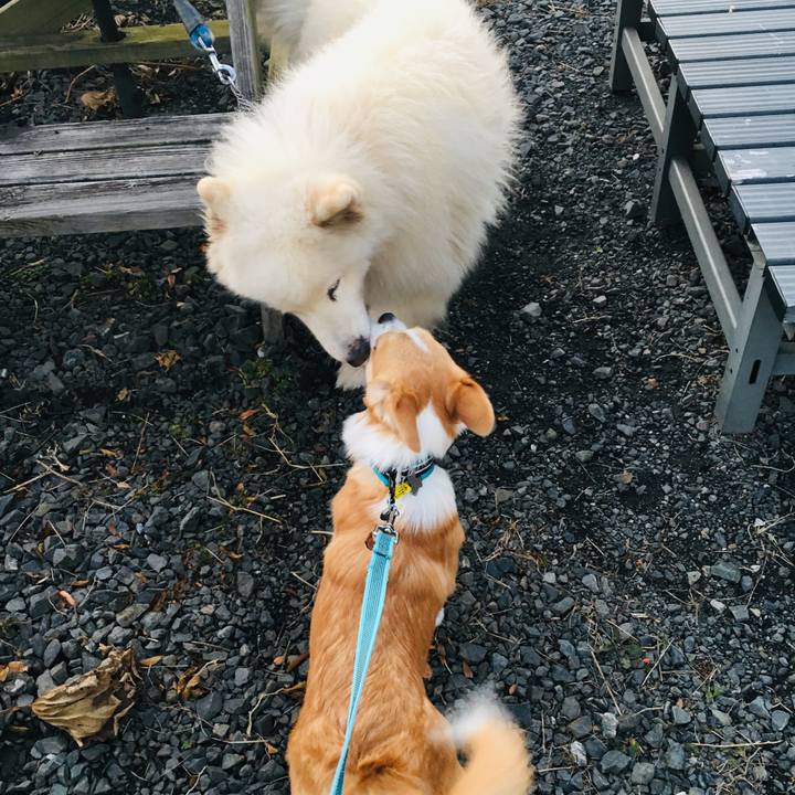 A5010de4 7909 4968 a4f3 9c6e7facca2f 1576674057703