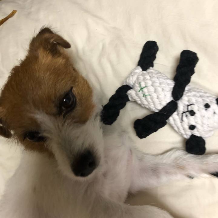 A5011cd9 39c4 41f3 b980 f230713e127e 1532774845025