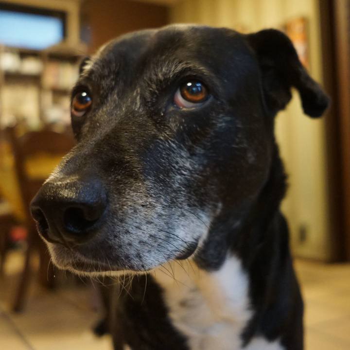 A5011d0a 4ece 44c8 a0ff fc1dc98c4ce0 1768955016700