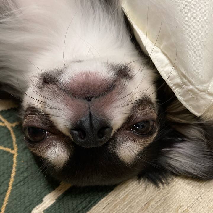 A5011daf 4a6f 48b5 9d0d f5a05db72e83 1633789795232