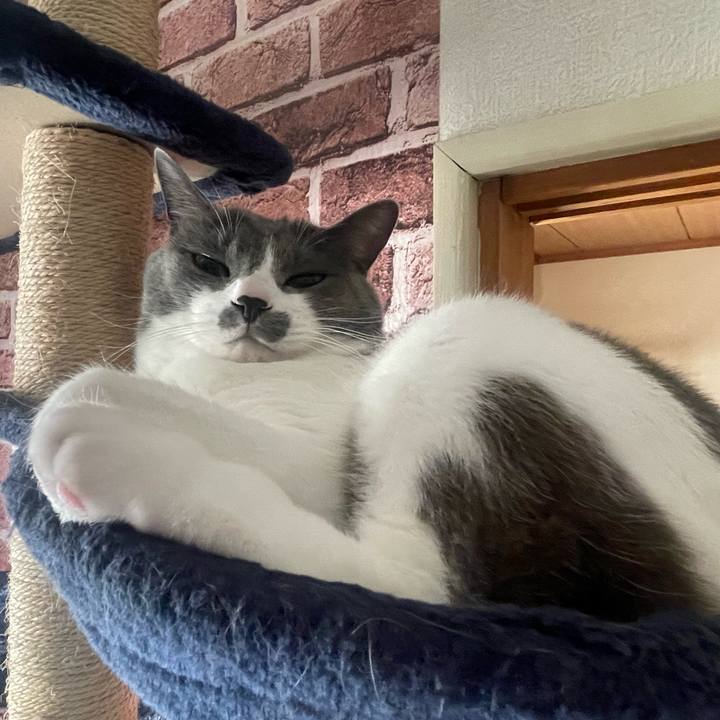 A5014e10 d2f3 4f29 84ab 49ef27d78f15 1673218418935