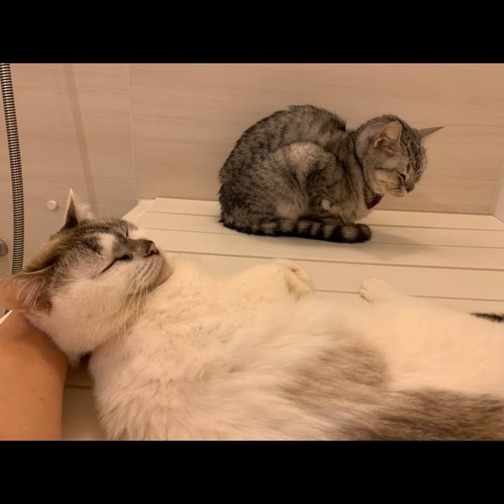 A50163a0 2647 4c37 94a6 171fcd887fc5 1580559612393