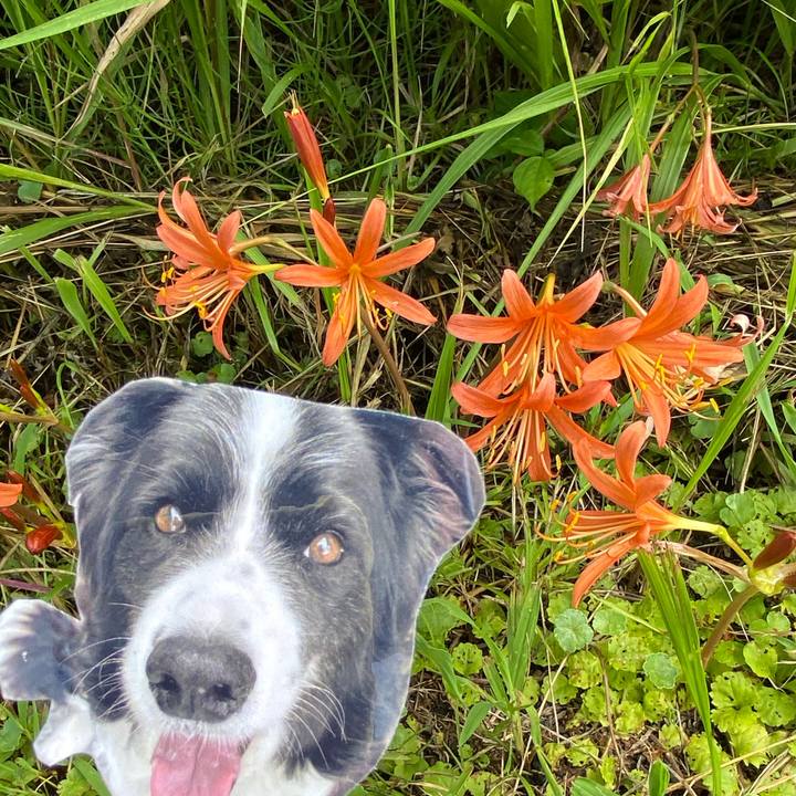 A5021eae 9ce8 4c1e 9db6 fc3a87472826 1755664324032