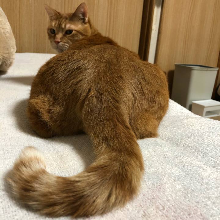 A5024447 09ab 43b0 a341 0ff20fe08460 1613997884040