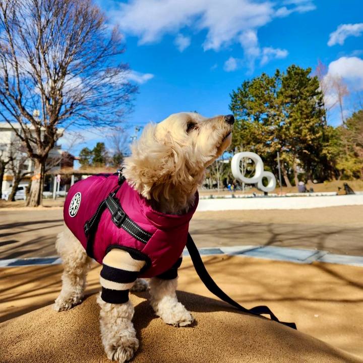 A502467c 6a83 415e 9405 554a61851fe0 1769851147010