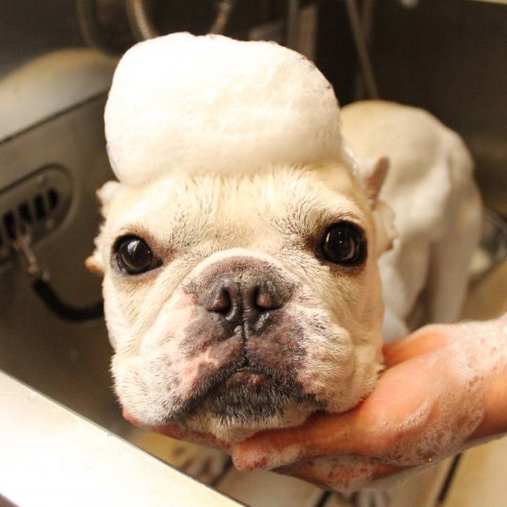 A5024d80 ed46 442b ab48 0eeea93e584b 1526610802951