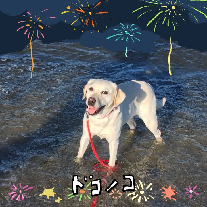 A5024fdf 58e7 4534 af37 4eeb91e59d1b 1723758482706