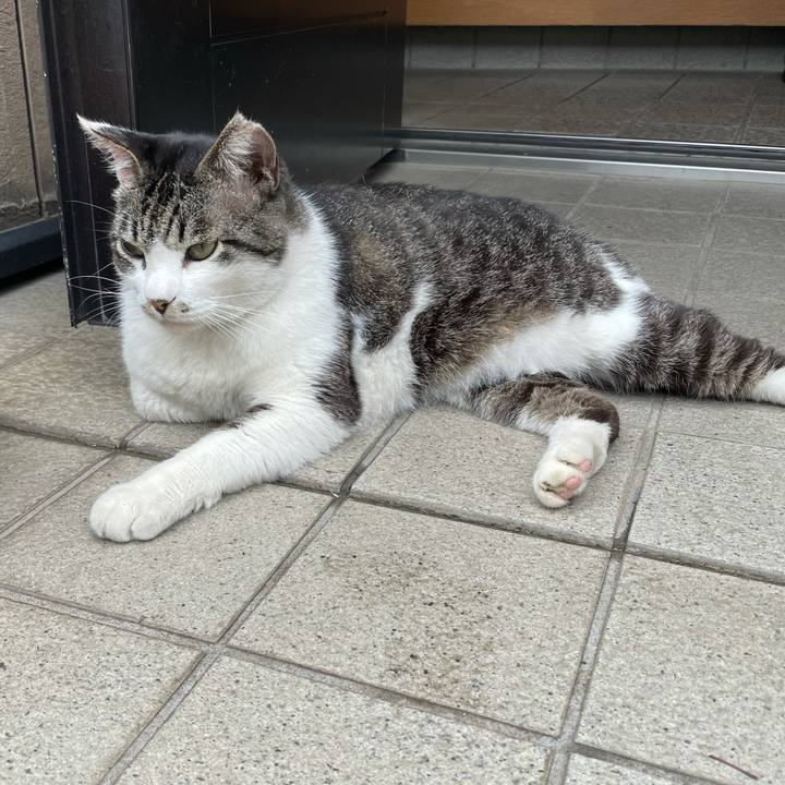 A5027f79 de87 495f 950a 5a86a43cc0f4 1624093339636