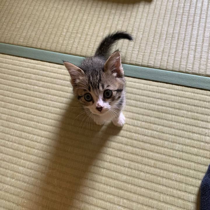 A502c521 32a5 4093 8b9c 6ce21fdec919 1686378922374