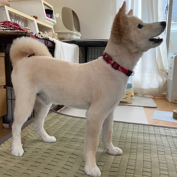 A502f19a f612 424c 897b 35a75b2ae712 1652609204105