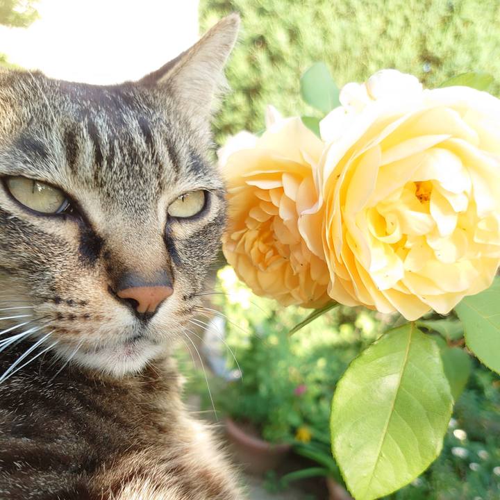 A5032316 9b2c 4f71 9f6f 5d9d63ab215e 1622362170430