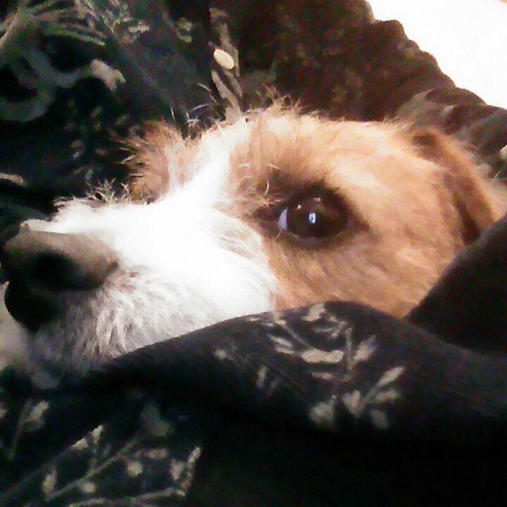 A5032721 7b1e 4c25 924a 42e2bdc319f7 1538039553330