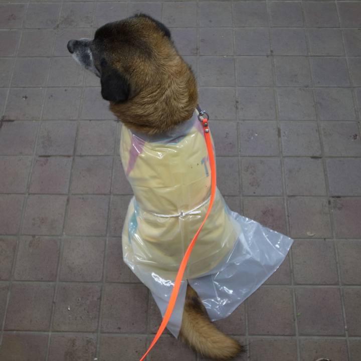 A5034a48 6885 453e a0a7 91f392ac3358 1609807307399