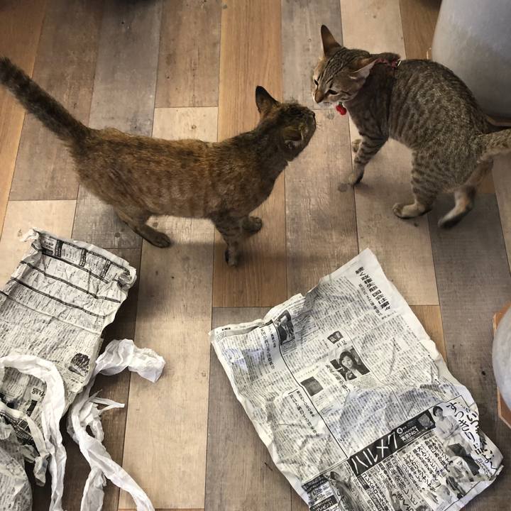 A5035724 a9f1 480c 8200 c434312f9d85 1587617494837