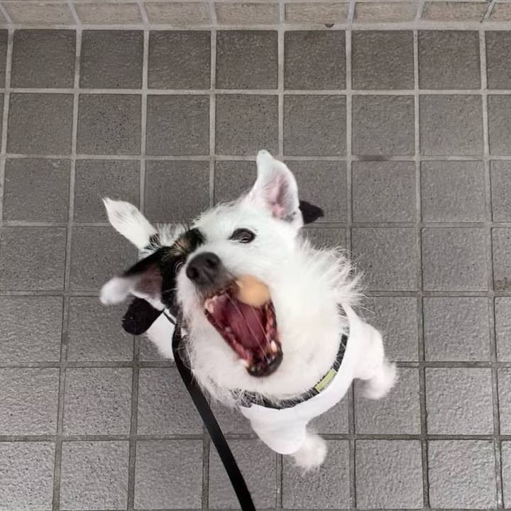 A5035f5f a011 4700 8285 55a6802502f4 1711154593849