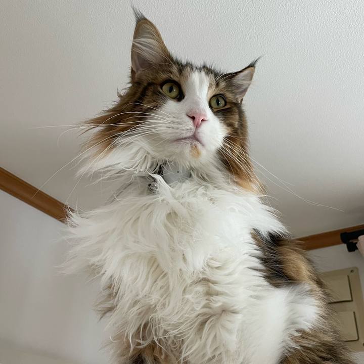 A5039ecc aa4f 487b b2ca e5ae3bed4218 1670723776893